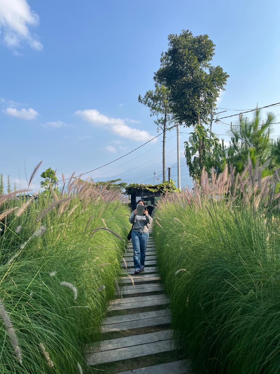 Nia walking down a garden path